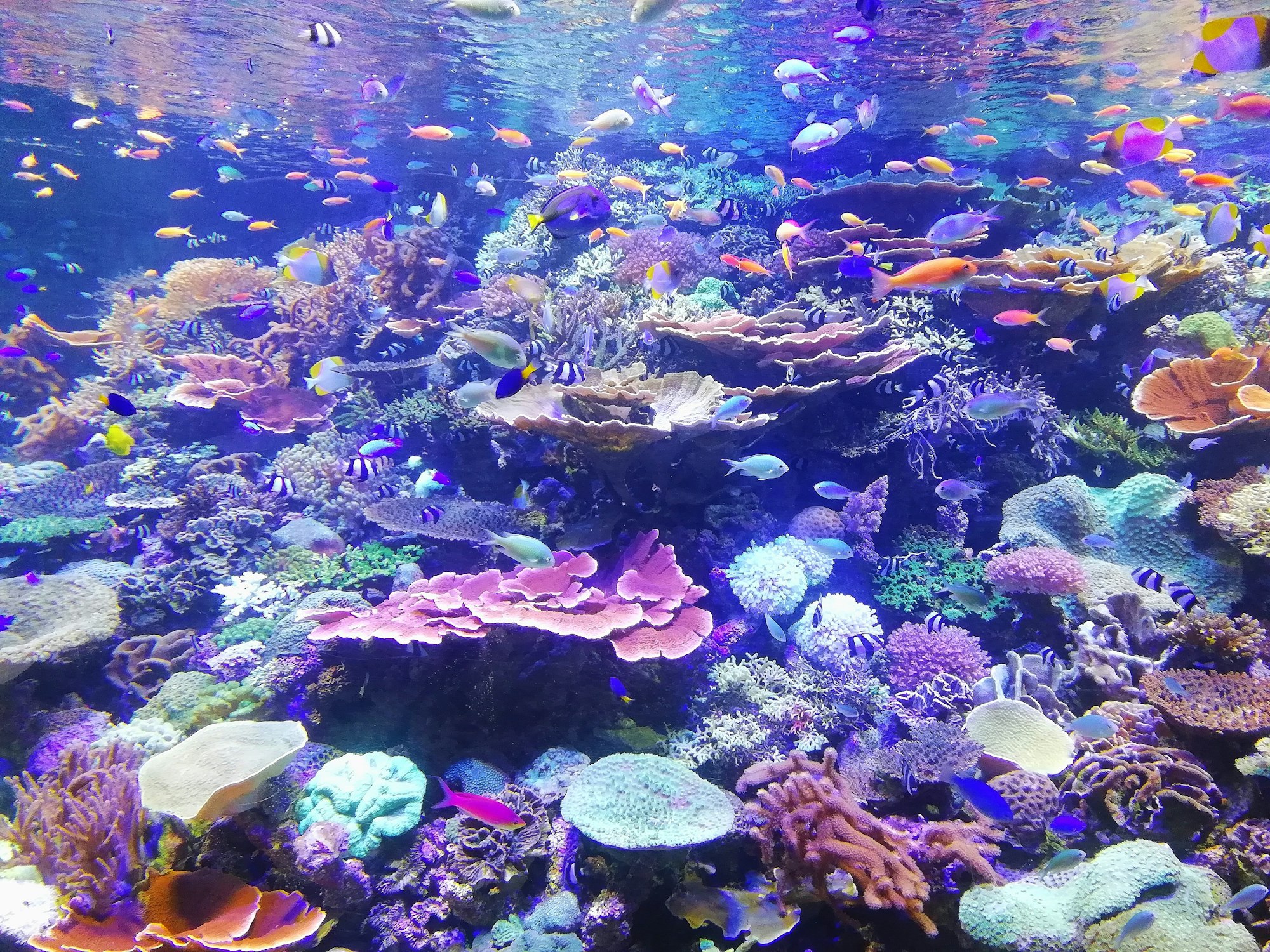 What an AI Image Generator Fixes About the Way Open Source Projects Look
